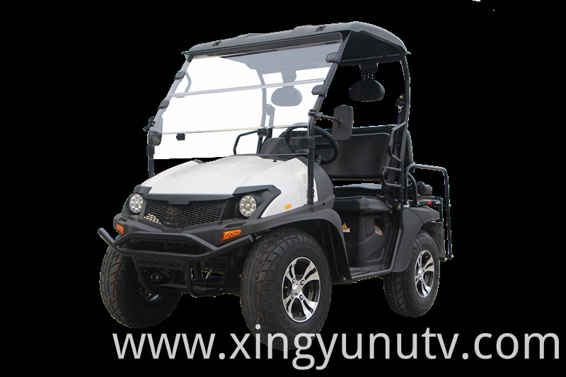 2021 Hot Sale High Quality 5KW Electric UTV EEC Electric Golf Cart